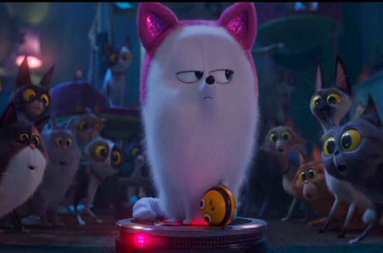 愛寵大機密2 /寵物當家2TheSecretLifeofPets 2 原版DVD盒裝 國粵英配音