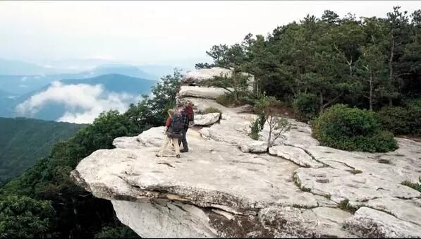 2015高分美國電影 林中漫步/別跟山過不去/偏跟山過不去 英語中字 盒裝1碟
