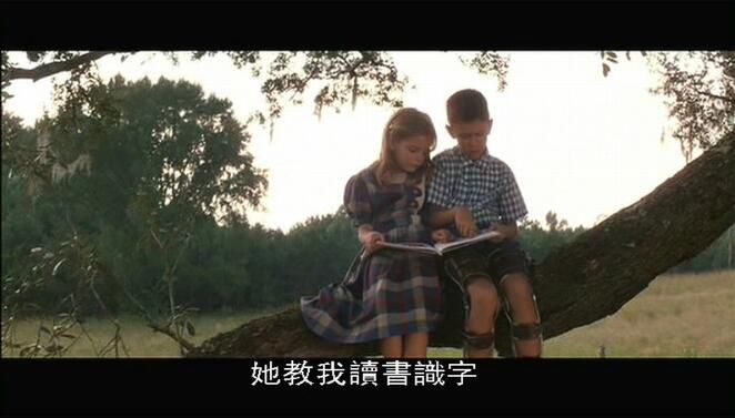 1994美國高分電影 阿甘正傳/Forrest Gump/福雷斯特·岡普 DVD收藏版 英語中字