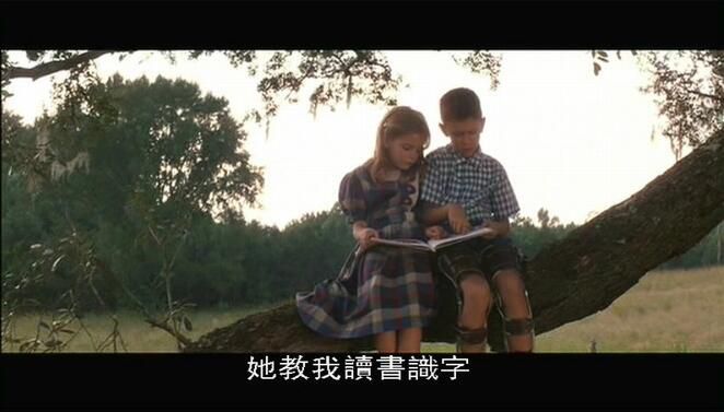 阿甘正傳 Forrest Gump 奧斯卡經典佳作 DVD收藏版