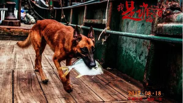 電影 我是誰的寶貝 鄭國霖 程皓楓 華少(2017)