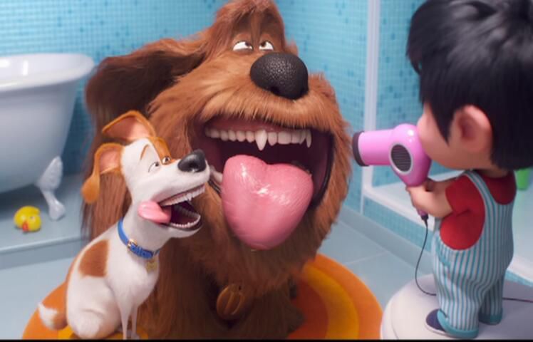 愛寵大機密2 /寵物當家2TheSecretLifeofPets 2 原版DVD盒裝 國粵英配音