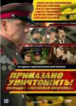 2009俄羅斯電影 奉命摧毀 中國棺材行動 4全集 2碟 二戰/刺殺活動/蘇德戰 DVD