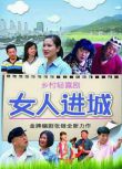 2013高分大陸劇 女人進城 潘雨辰/郭鐵城 國語中字 盒裝6碟