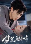 2025大陸劇《提筆再忘卻你》徐藝洋/焉栩嘉 國語中字 盒裝2碟