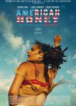 2016高分歐美電影 美國甜心 American Honey 薩莎·萊恩 英語中字 盒裝1碟