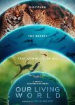 2024英國紀錄片《我們的生物世界/我們生活的世界/Our Living World》全4集 英語中字 盒裝1碟