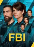 2025美劇 聯邦調查局/FBI 第八季 梅西·帕瑞格蘭 英語中字 盒裝2碟