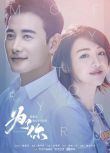 2018大陸劇 為了妳,我願意熱愛整個世界/為了你 國語中字 盒裝8碟