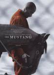2019法國電影 野馬/The Mustang 馬提亞斯·修奈爾 英語中字 盒裝1碟