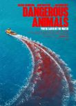 2025澳大利亞電影《危險動物/鯊人魔/鯊膽殺人狂/Dangerous Animals》 英語中英雙字 盒裝1碟