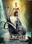 2019印度電影《叢林之子/卡拉里/Junglee》原音中字 盒裝1碟