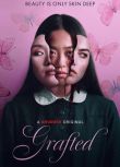 2024新西蘭電影《移植/嫁接/Grafted》傑茜·洪 英語中英雙字 盒裝1碟