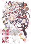 魔法少女育成計劃（2017年一月新番動漫）2碟DVD