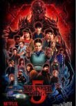 2025美劇 Stranger Things 怪奇物語 第五季/怪奇物語最終季 薇諾娜·瑞德 英語中字 盒裝3碟