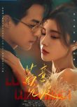 2025大陸劇《蓄意寵愛/夫人虐渣要趁早》戴燕妮/郭迦南 國語中字 盒裝4碟