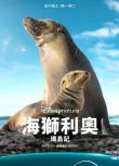 2025美國紀錄片《海獅利奧環島記》布蘭登·費舍 英語中字 盒裝1碟
