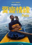 2025美國電影《愛寵情緣/寵》Travis Ford 英語中字 盒裝1碟