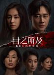 2025大陸劇 目之所及/盲目/Beloved【TV全集+幕後花絮】 羅晉/王子文 高清盒裝4碟
