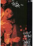 1994日劇 禁斷的果實/禁果 田中美佐子 全13回 日語中字 3碟 