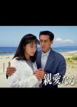 1992日劇 給親愛的人 淺野優子/柳葉敏郎 日語中字 盒裝2碟