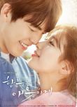 2016韓劇 任意依戀/Uncontrollably Fond 金宇彬/裴秀智 國語中字 盒裝5碟