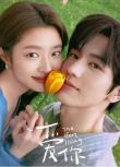 2025大陸劇 愛你/愛你，是我做過最好的事【TV全集+幕後花絮】張淩赫/徐若晗 高清盒裝5碟
