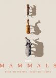 2024英國紀錄片 哺乳動物星球/Mammals 大衛·愛登堡 英語中字 盒裝2碟
