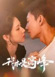 2025大陸劇《我本是高峰》關芯/金賢正 國語中字 盒裝2碟