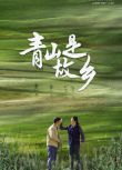 2025大陸劇《青山是故鄉》褚栓忠/梁琳琳 國語中字 盒裝5碟