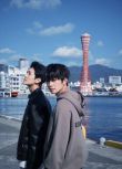 2025大陸劇《被困在大阪的男孩》汪子航/秦佳林 國語中字 盒裝1碟