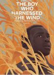 2019電影 馭風男孩 The Boy Who Harnessed the Wind 高清盒裝DVD