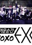 韓國綜藝 火熱的瞬間 XOXO EXO 4集全 韓語中字 1DVD