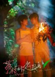 2025大陸劇《荔枝樹下熱烈島》胡亦琛/劉以褐 國語中字 盒裝1碟