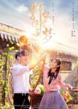 2018大陸劇 許你浮生若夢 朱壹龍/安悅溪 國語中字 盒裝7碟