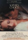 1982高分美國電影《蘇菲的抉擇/索菲的抉擇/Sophie's Choice》國英雙語中字 盒裝1碟