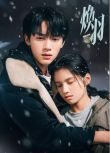2025大陸劇《煥羽/Reborn》張婧儀/周翊然 國語中字 盒裝4碟