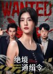 2025大陸劇 絕境通緝令 吳千語/杜海濤 國語中字 盒裝2碟