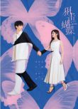 2025大陸劇 狙擊蝴蝶/Sniper Butterfly【TV全集+幕後花絮】陳妍希/周柯宇 高清盒裝6碟