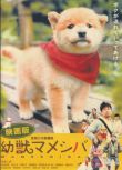 豆柴小犬/尋母三千里 日本超感人可愛狗狗電影 DVD收藏版