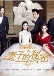 2014大陸劇【妻子的秘密】【劉愷威 趙麗穎】【國語中字】9碟