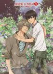 超級戀人/SUPER LOVERS 1-2季完整版（2017新番完結）2碟DVD