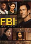 2020高分美劇 聯邦調查局：通緝要犯/FBI: Most Wanted 第1-5季 英語中字 盒裝17碟