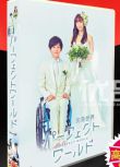 日劇《完美世界》TV+電影 松阪桃李 / 山本美月 6碟DVD盒裝